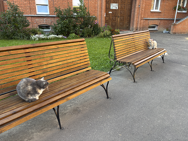 Иваново: город текстиля, революций и конструктивизма (фото Олег Д., сентябрь, 2025)