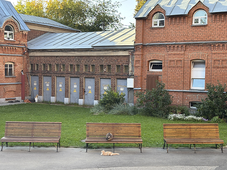 Иваново: город текстиля, революций и конструктивизма (фото Олег Д., сентябрь, 2025)