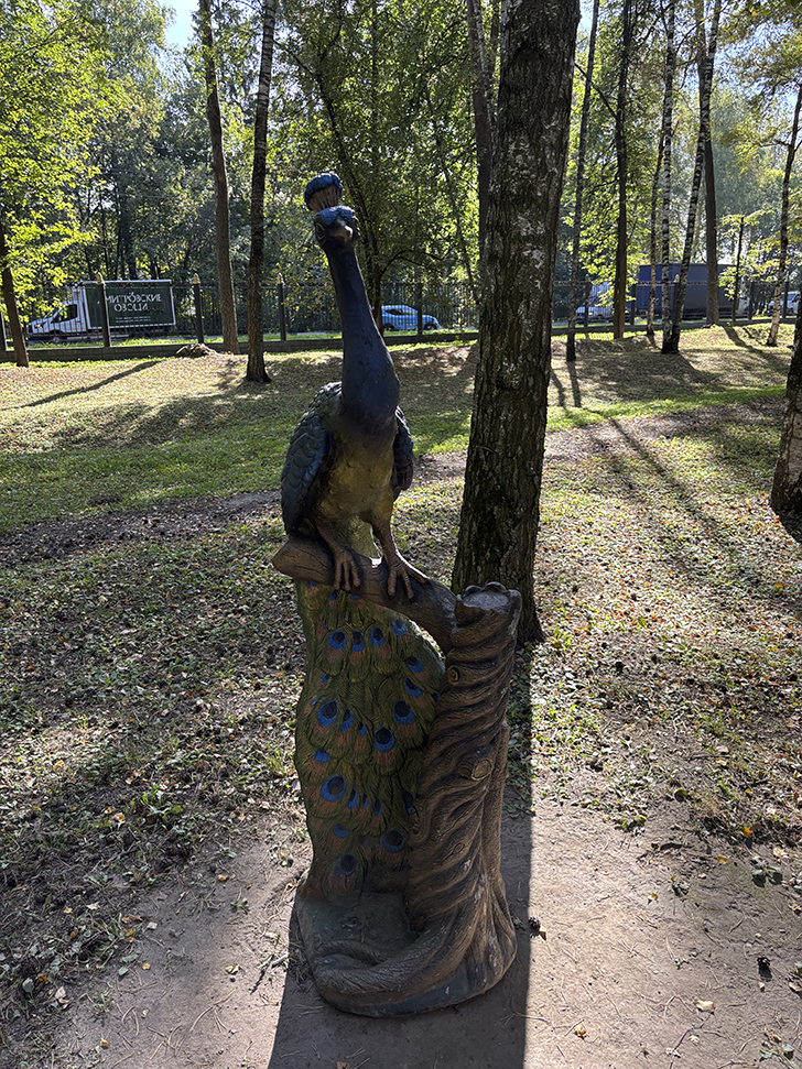 Ногинский городской парк (фото Олег Д., сентябрь, 2025)