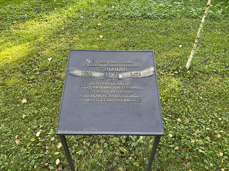 Ногинский городской парк (фото Олег Д., сентябрь, 2025)