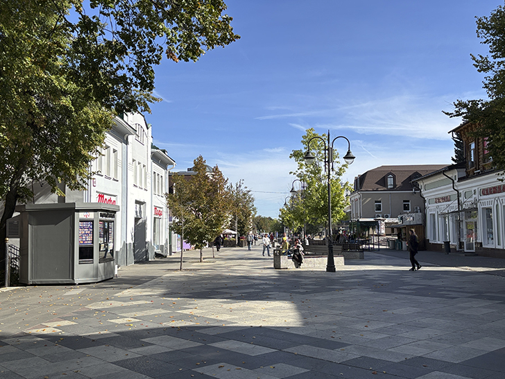 Путешествие в Ногинск: прогулка по уютному городу (фото Олег Д., сентябрь, 2025)