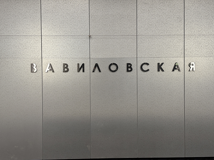 Троицкая линия Московского метро (фото Олег Д., Москва, сентябрь, 2025)