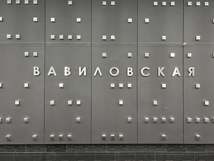 Троицкая линия Московского метро (фото Олег Д., Москва, сентябрь, 2025)