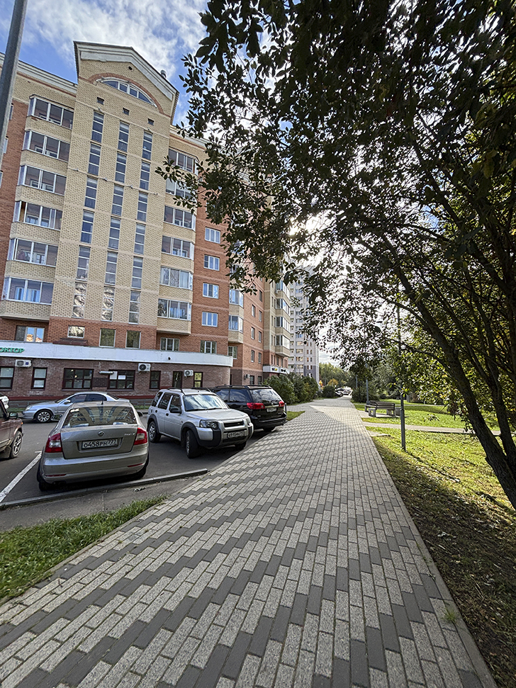 Старокрюковский дендропарк (фото Олег Д., Зеленоград, сентябрь, 2025)