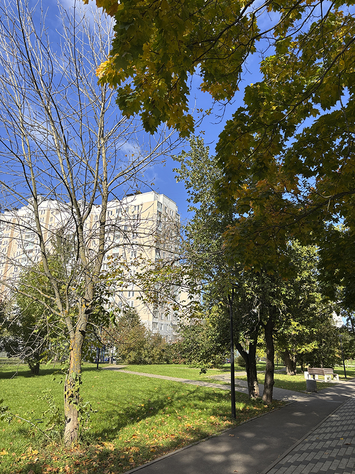 Старокрюковский дендропарк (фото Олег Д., Зеленоград, сентябрь, 2025)