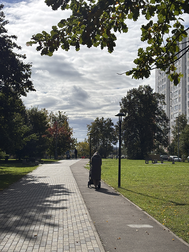 Старокрюковский дендропарк (фото Олег Д., Зеленоград, сентябрь, 2025)