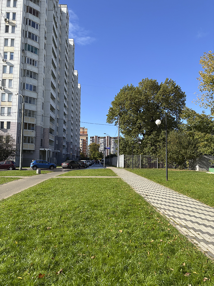 Старокрюковский дендропарк (фото Олег Д., Зеленоград, сентябрь, 2025)