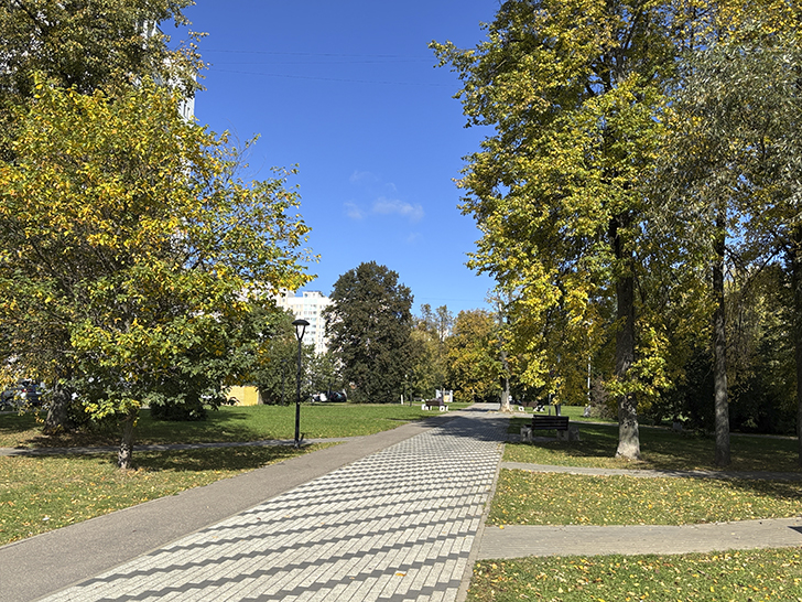 Старокрюковский дендропарк (фото Олег Д., Зеленоград, сентябрь, 2025)