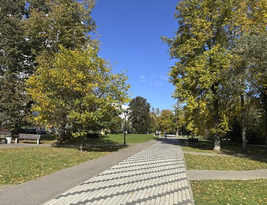 Старокрюковский дендропарк (фото Олег Д., Зеленоград, сентябрь, 2025)