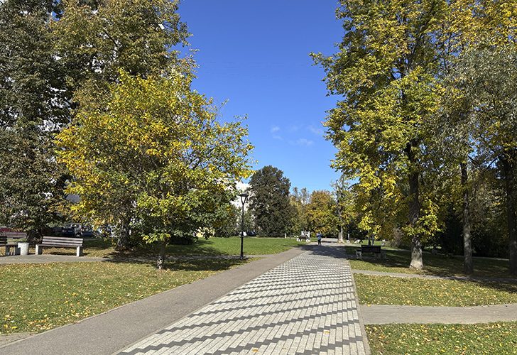 Старокрюковский дендропарк (фото Олег Д., Зеленоград, сентябрь, 2025)