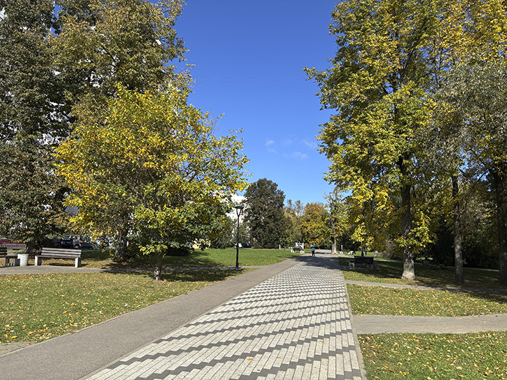 Старокрюковский дендропарк (фото Олег Д., Зеленоград, сентябрь, 2025)