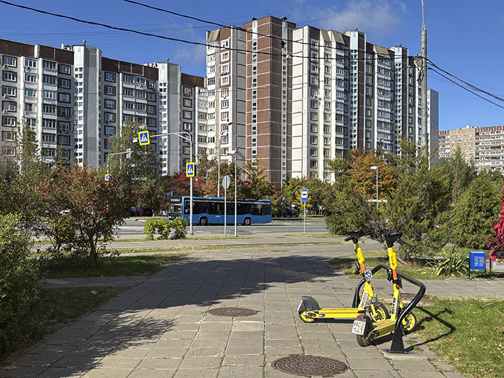 Старокрюковский дендропарк (фото Олег Д., Зеленоград, сентябрь, 2025)