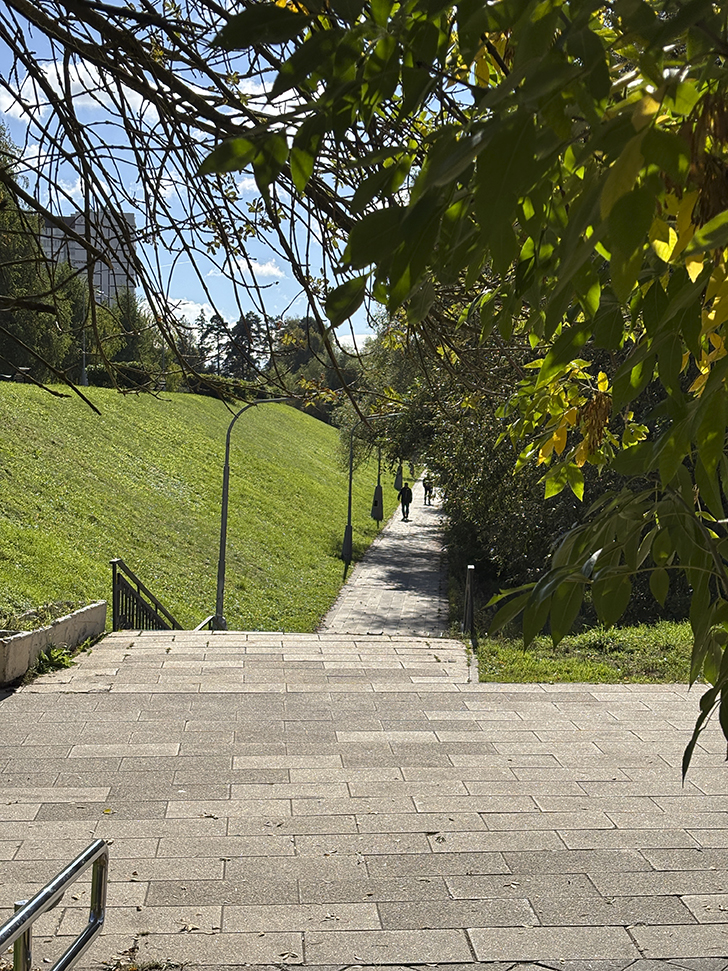 Старокрюковский дендропарк (фото Олег Д., Зеленоград, сентябрь, 2025)