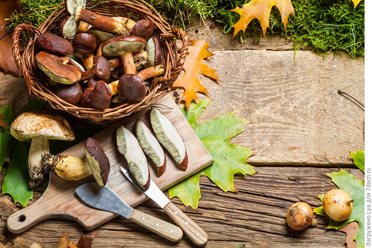 Очистка грибов