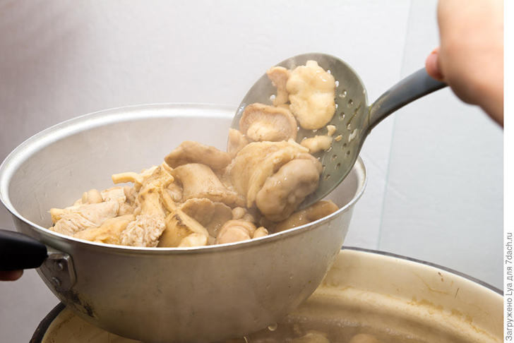 Отваривание грибов