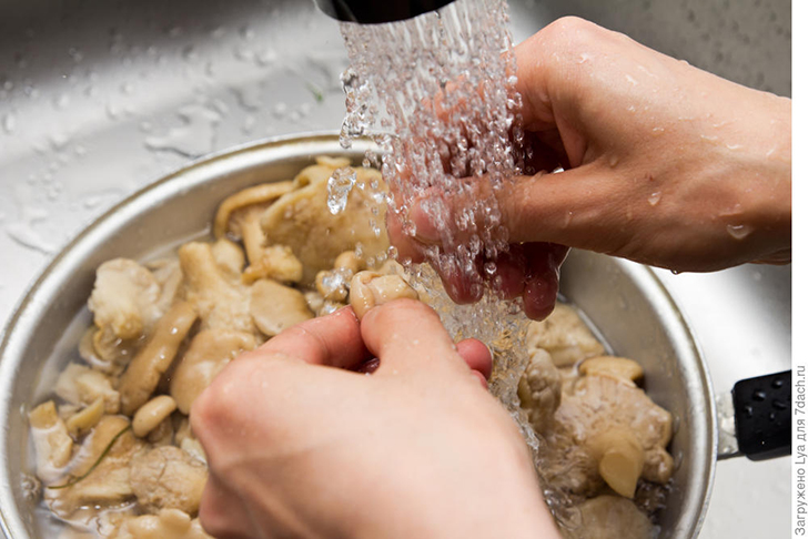 После варки грибы надо промыть