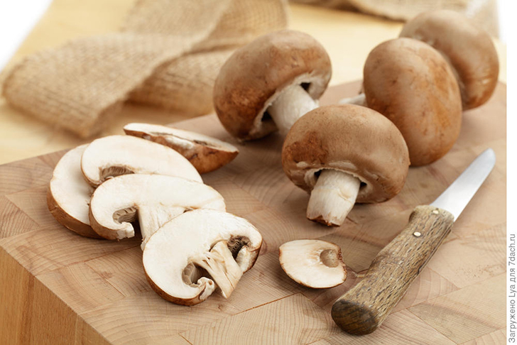 Белые, лисички, шампиньоны, моховики или маслята можно не отваривать