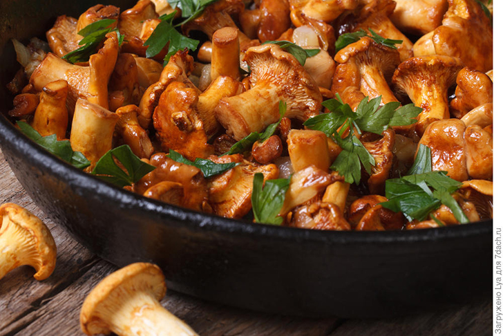 Жареные лисички