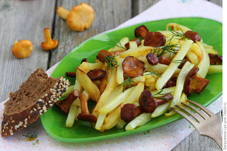 Блюда из грибов любят в каждой семье