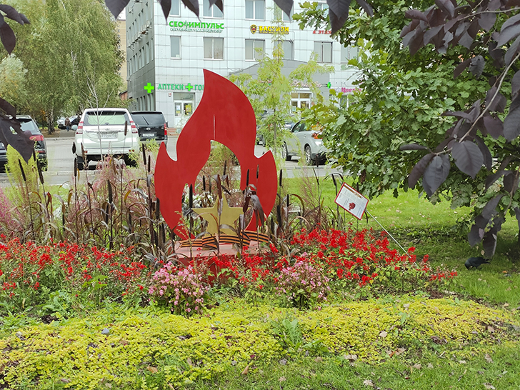 Фото Марины Кузьминой (осень, 2025)