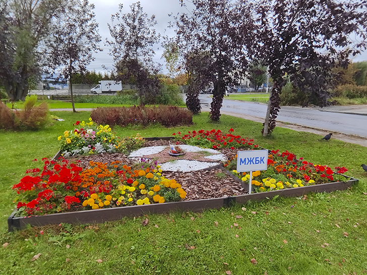 Фото Марины Кузьминой (осень, 2025)