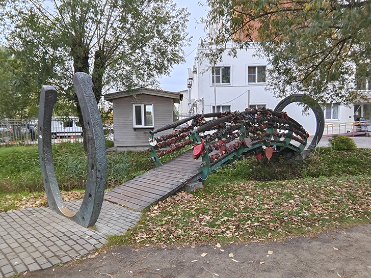 Фото Марины Кузьминой (осень, 2025)