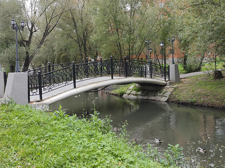Фото Марины Кузьминой (осень, 2025)