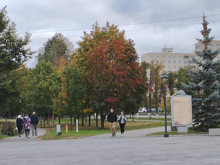 Фото Марины Кузьминой (осень, 2025)
