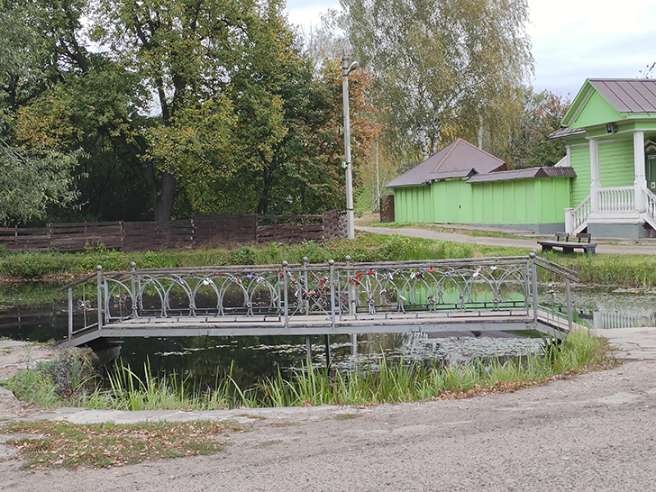 Фото Марины Кузьминой (осень, 2025)
