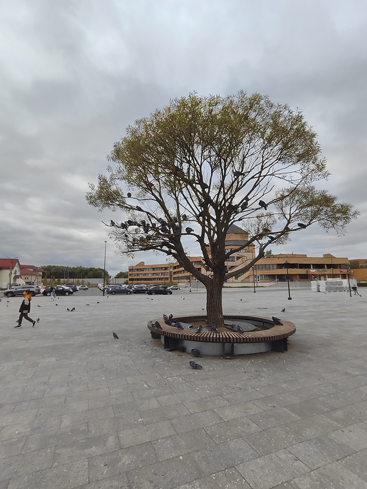 Фото Марины Кузьминой (осень, 2025)