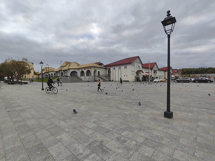 Фото Марины Кузьминой (осень, 2025)