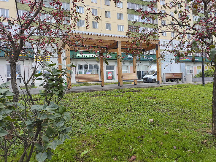 Фото Марины Кузьминой (осень, 2025)