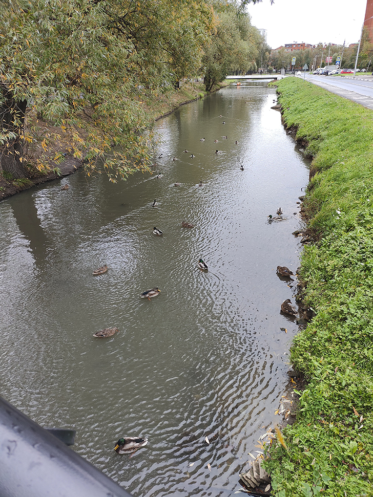 Фото Марины Кузьминой (осень, 2025)