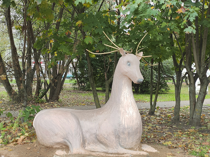 Фото Марины Кузьминой (осень, 2025)