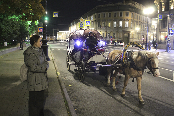 Фото Василия и Марины Кузьминых (осень, 2025)