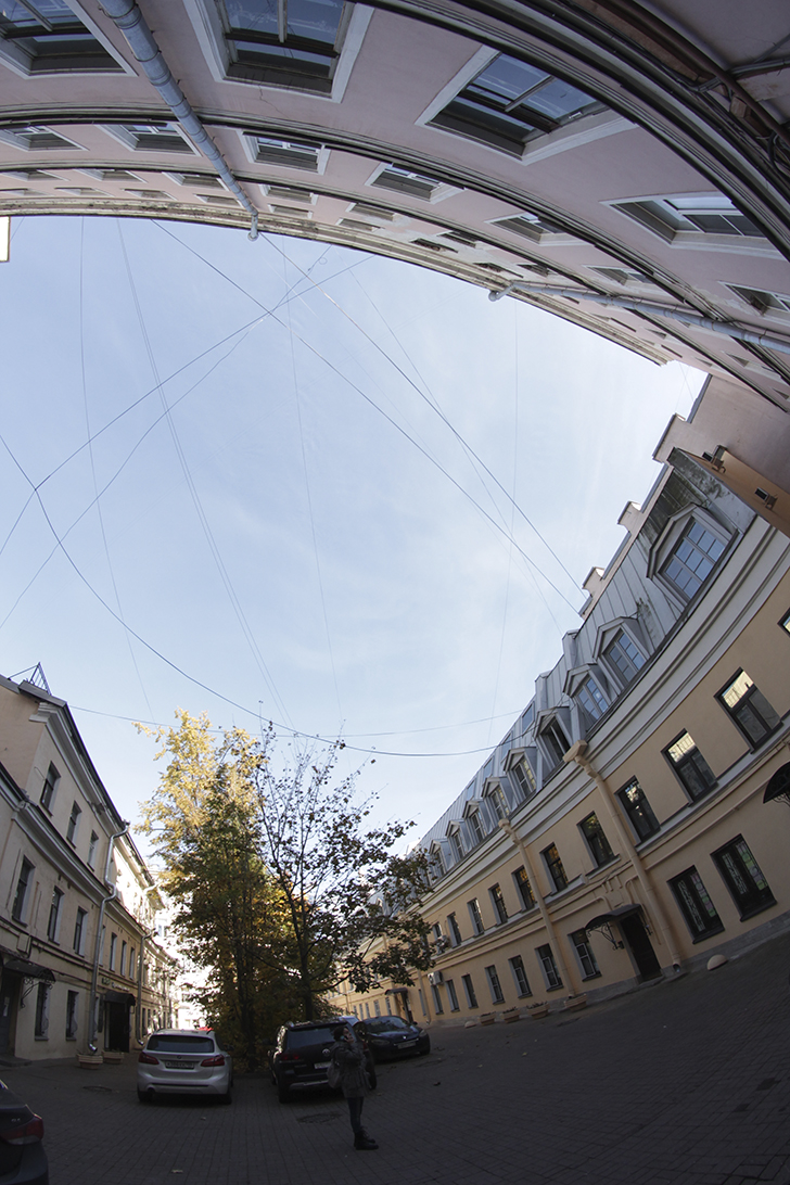 Фото Василия и Марины Кузьминых (осень, 2025)