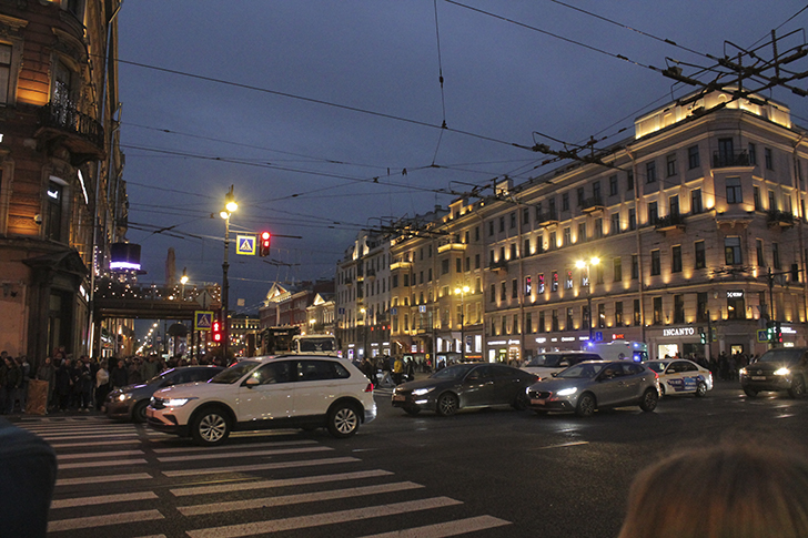 Фото Василия и Марины Кузьминых (осень, 2025)