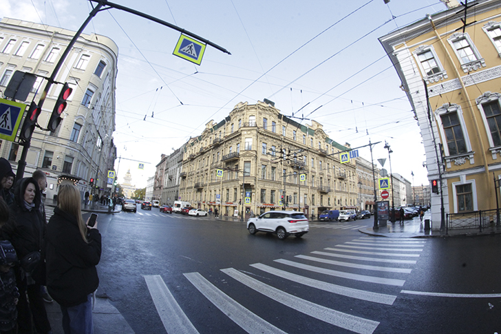 Фото Василия и Марины Кузьминых (осень, 2025)