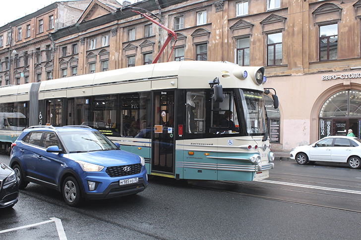 Фото Василия и Марины Кузьминых (осень, 2025)