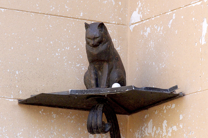 Фото Василия и Марины Кузьминых (осень, 2025)