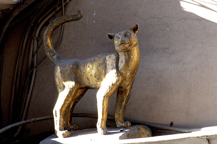 Фото Василия и Марины Кузьминых (осень, 2025)