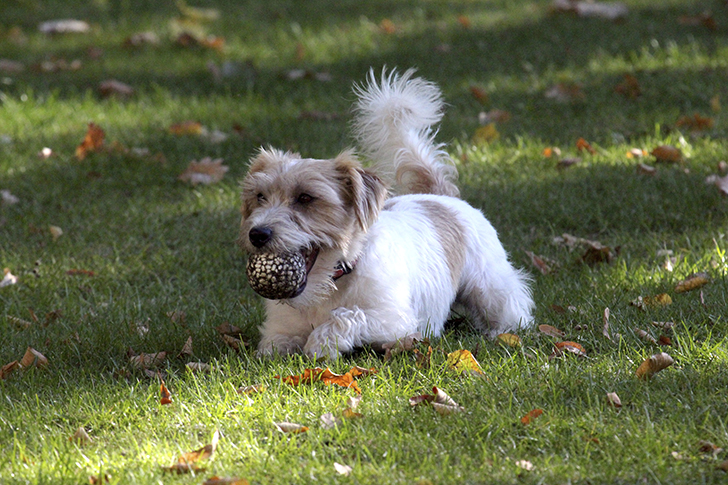 Фото Василия и Марины Кузьминых (осень, 2025)