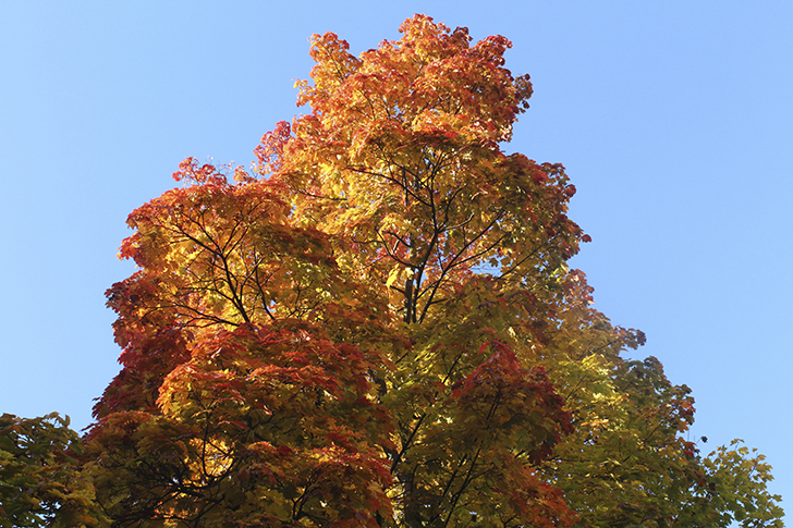 Фото Василия и Марины Кузьминых (осень, 2025)