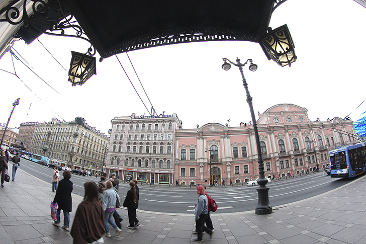 Фото Василия и Марины Кузьминых (осень, 2025)