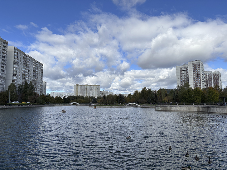 Парк у Михайловского пруда в Зеленограде (фото Олег Д., осень, 2025)