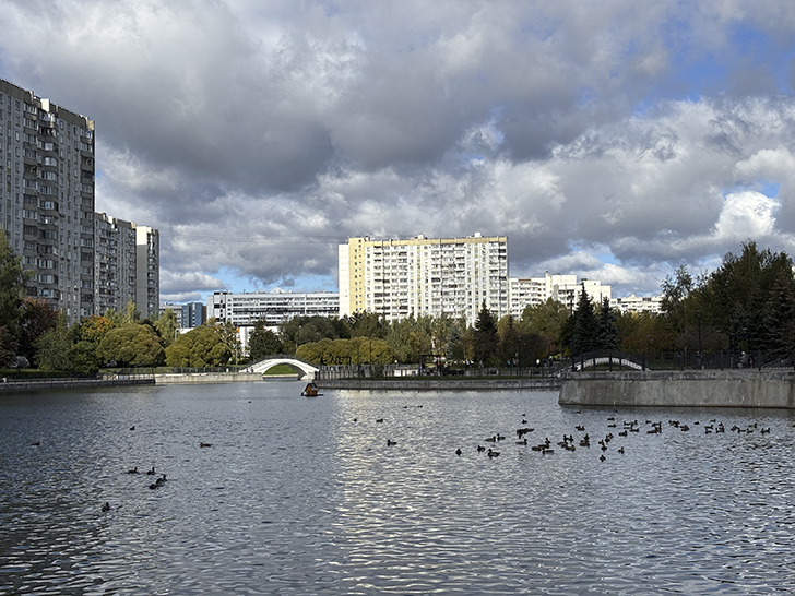 Парк у Михайловского пруда в Зеленограде (фото Олег Д., осень, 2025)