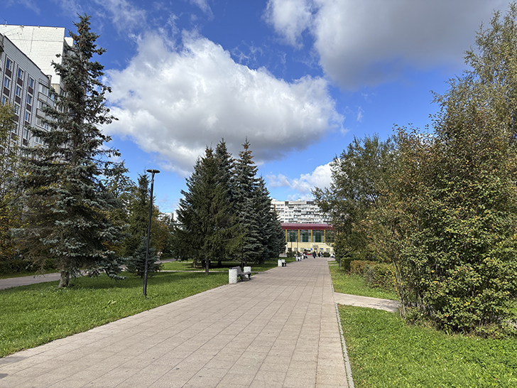 Парк у Михайловского пруда в Зеленограде (фото Олег Д., осень, 2025)