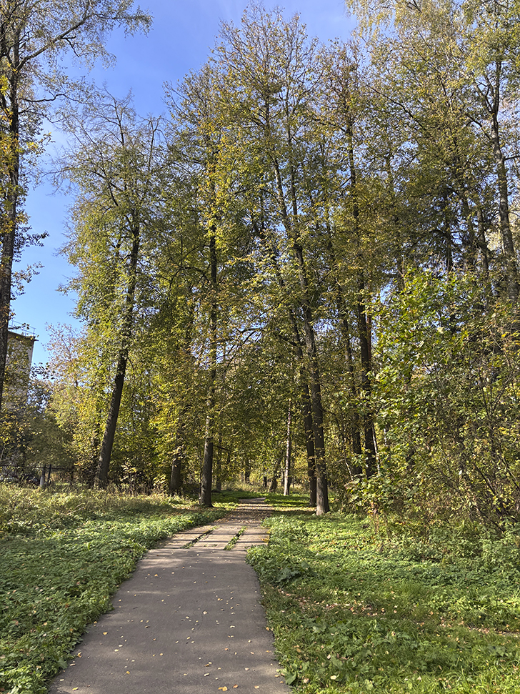 Фото-прогулка по уютному Клину (фото Олег Д., осень, 2025)