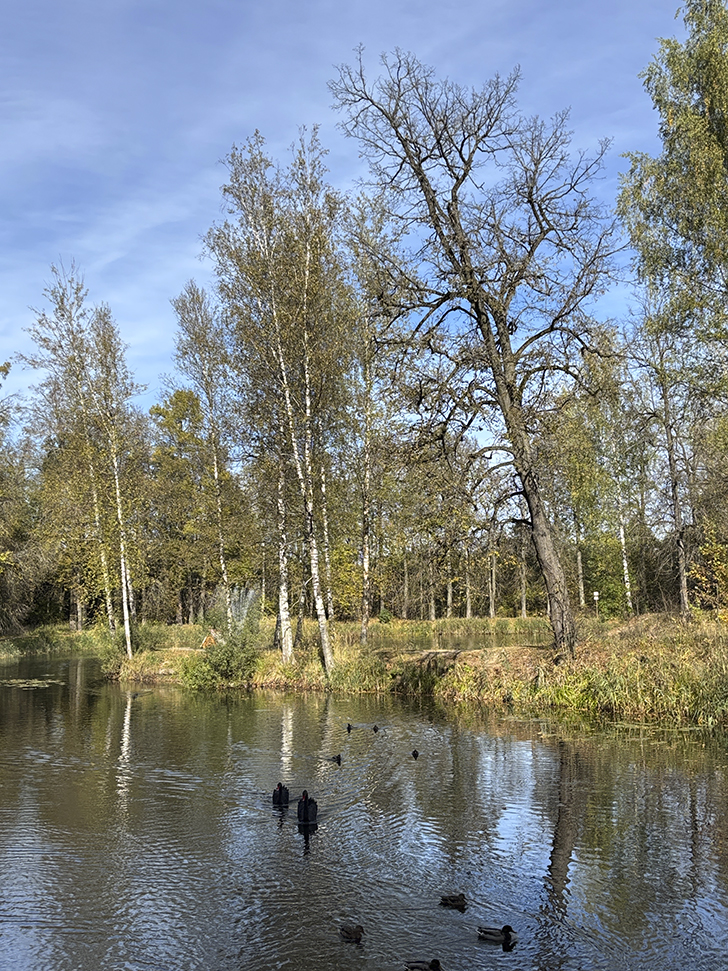 Фото-прогулка по уютному Клину (фото Олег Д., осень, 2025)