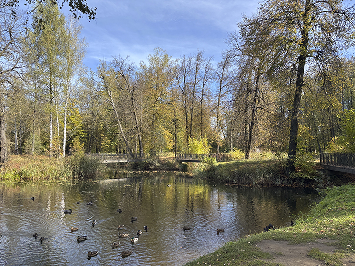 Фото-прогулка по уютному Клину (фото Олег Д., осень, 2025)